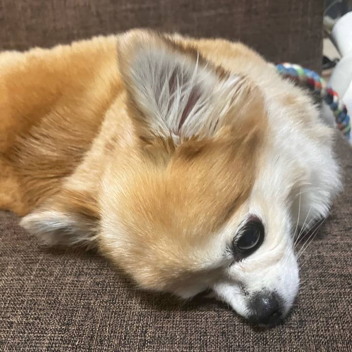 68f29e40 a799 49ad af13 76dcf927eb52 1762060934315