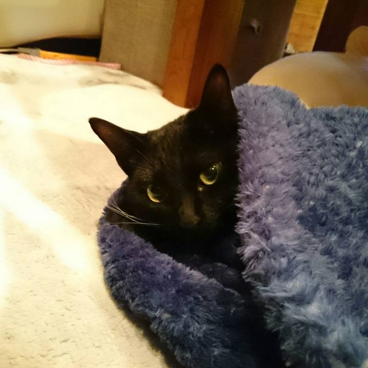 68f2dc32 dc1c 4ac4 834a b3e90d309244 1512402692193