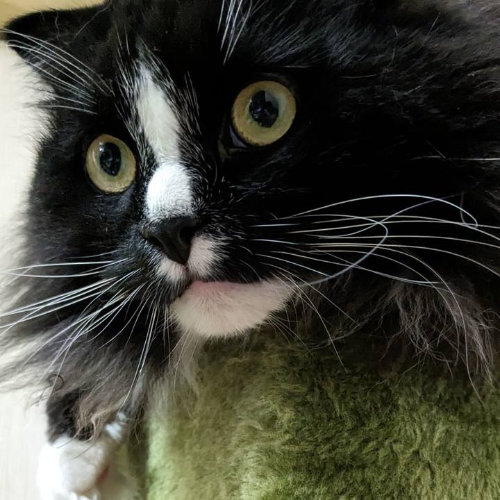 68f2f014 861f 49b2 907e a4e6b6ae3f58 1690850120800