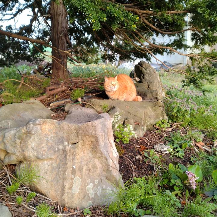 68f2f5d8 f03b 4583 a70c b702016fbde2 1682631296882