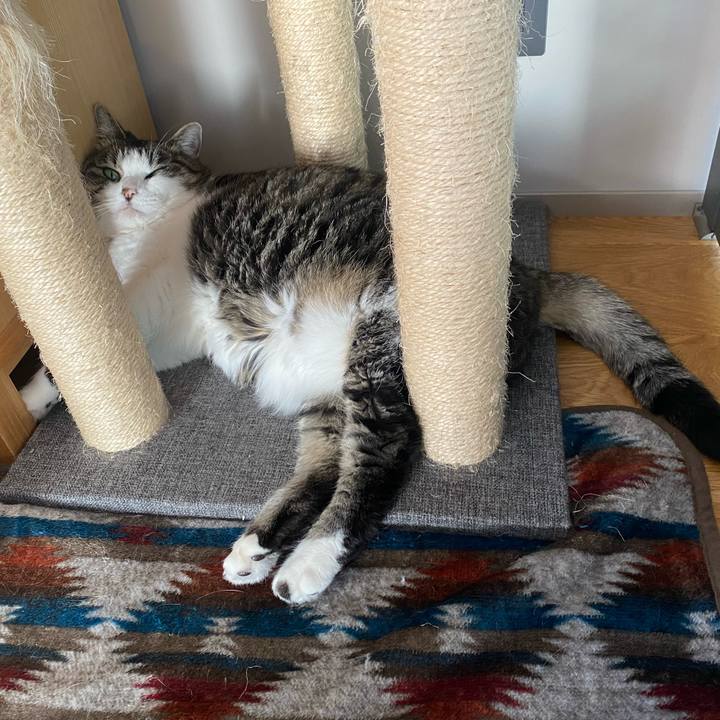 68f3073c 614b 4a72 96b7 54192e1c397b 1753166220665