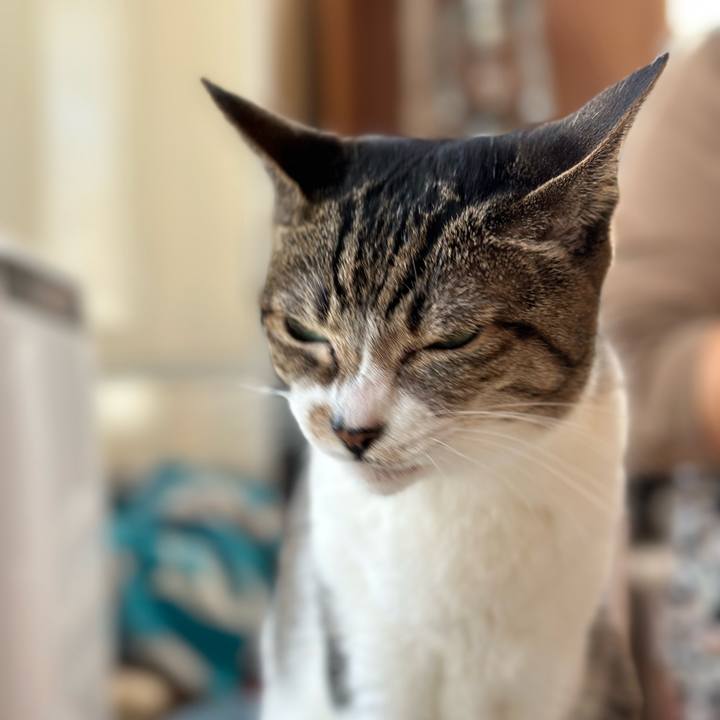 68f37f59 d7b5 4062 9733 6201c4e7d1c6 1668911780238