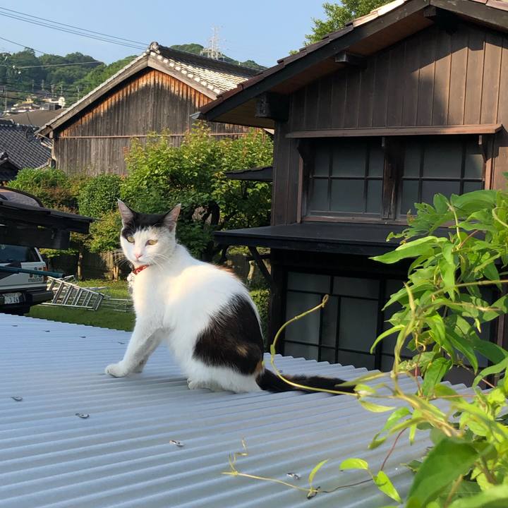 68f38e80 83e2 4dc4 8c97 28b3979cc8bd 1625361902494