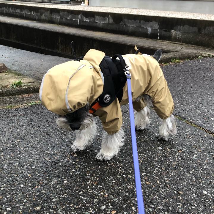 68f3bf5a 3267 4b89 856b bd341871d98a 1704526810805