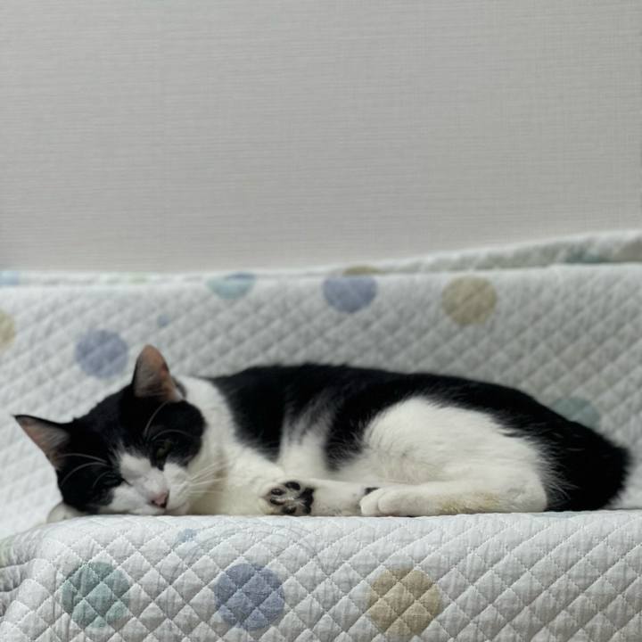 68f3c1bb 3385 4da9 89f3 2001e42cda6e 1693062628610