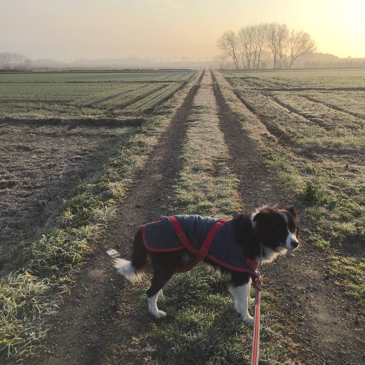 68f400ea 0976 4a6e b37c a08bb9c30694 1578095155228