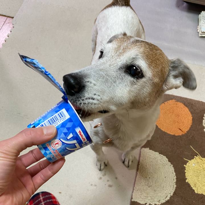 68f4252a a588 4818 880e 15dc659646cc 1610020278567