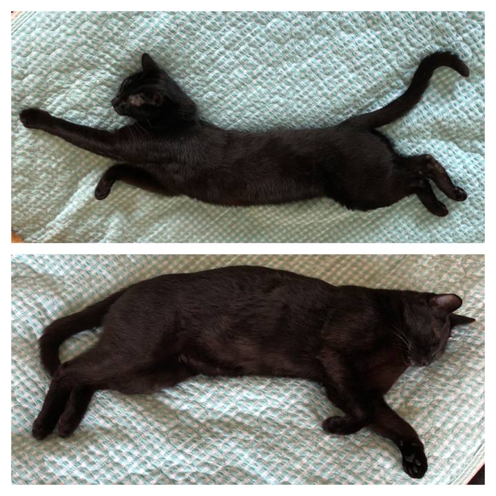 68f4268c bc9e 4804 8ccc 62cffffdacac 1687937332885