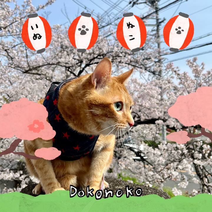 68f4418b e343 471a 99c9 69bd41f1c0cc 1712394335113