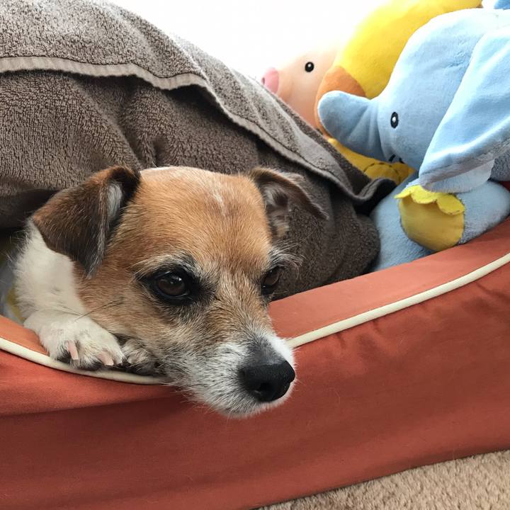 68f477cb f517 4643 8331 d15e85f63259 1557641417308