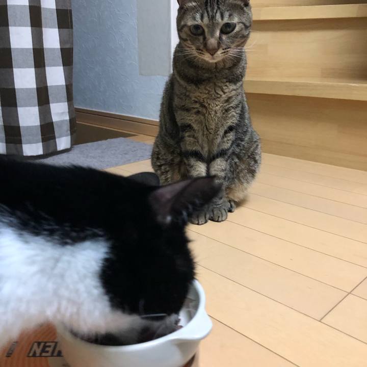 68f48052 c621 4893 81aa d0a750f9f469 1565988095775