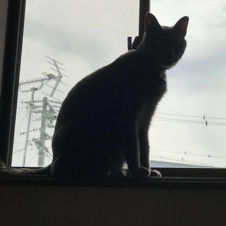 68f4d0a5 2874 4012 b13b 97fff99f6cbb 1526918216092