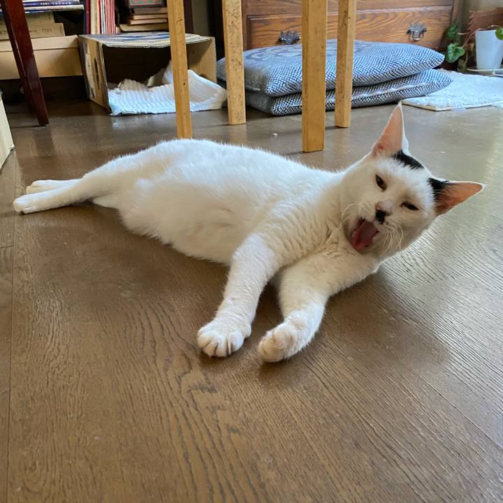 68f4ebb8 c5ec 478a ad42 91d43f5019d1 1660050012009