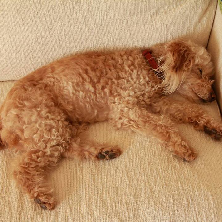 68f4ee1d cc17 44e5 9777 b359a509c92e 1594296669552