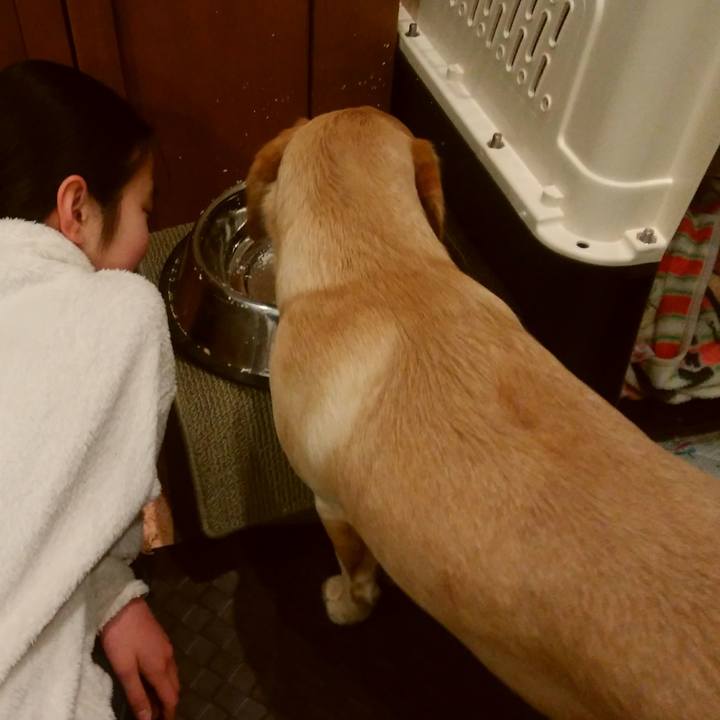 68f50c78 a97e 4420 817d 41455c2cfdaa 1517870584068