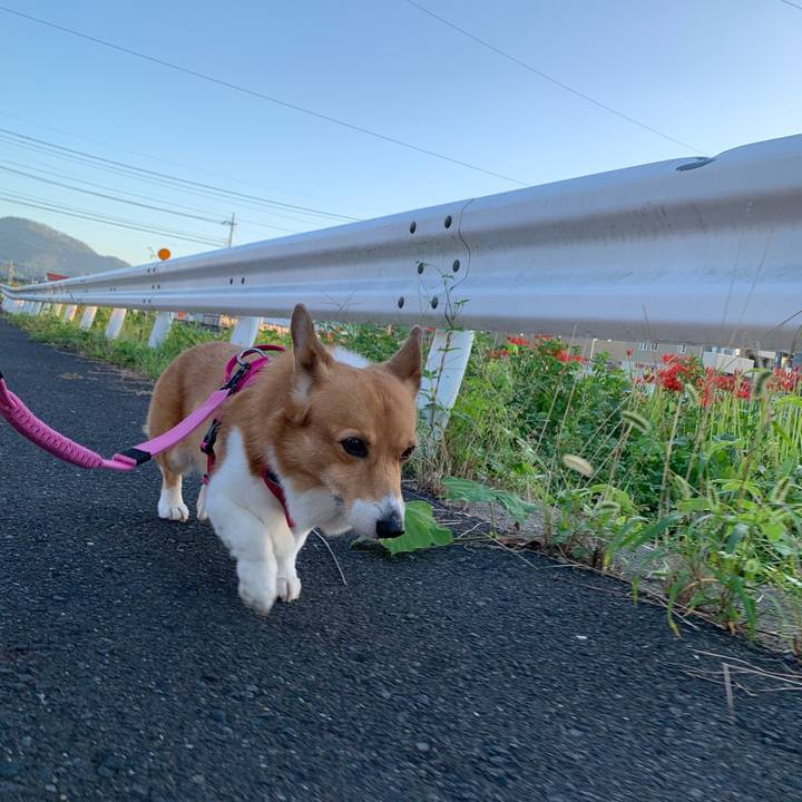 68f53995 184b 4ee2 8741 1dc228de25d2 1695940862257