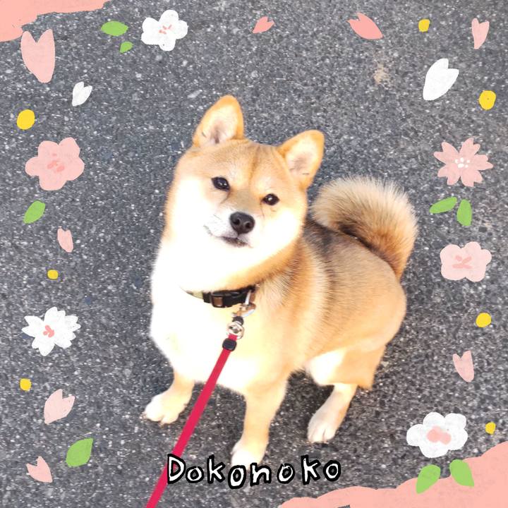 68f53b47 067a 40b1 b23a 0f2071d1cb3f 1711018101734