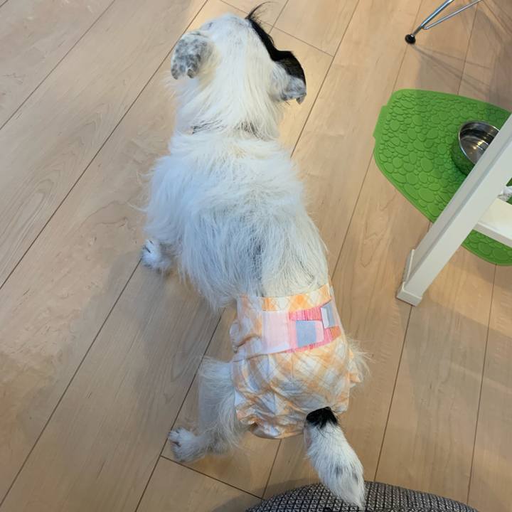 68f54ba6 6483 4de2 9748 b03dbb48f5d8 1651396330916