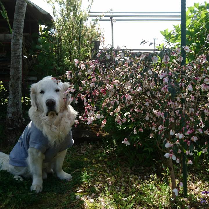 68f59937 fa8f 4f6c a682 8789b19d6c1f 1555137483726