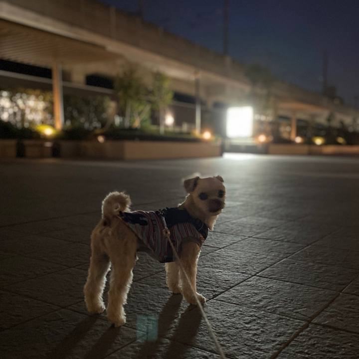 68f5a2fa 2a2c 41ba a4c9 94b315c55543 1575902129588