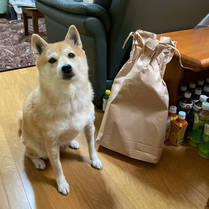 68f5f99c 5bff 4e2d 8bc9 c7698c633903 1611723770023