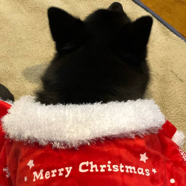 68f617c8 56fd 4e6e 82d5 2b23110f8429 1608799250638