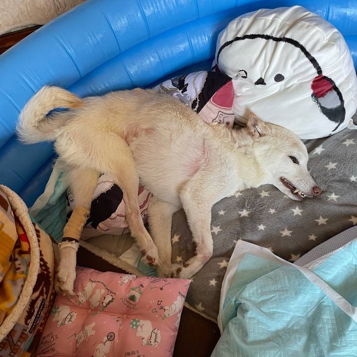 68f6613d b88c 41cc be96 7bcfe95c1bc1 1680063812509