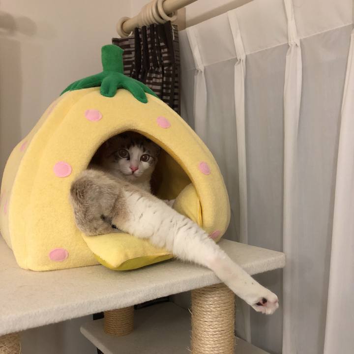 68f68560 ff4a 4dfb bfbf ea68d5138000 1520610723423