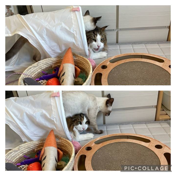 68f69a37 954e 4492 9ad1 ec4ea789573c 1692568883687