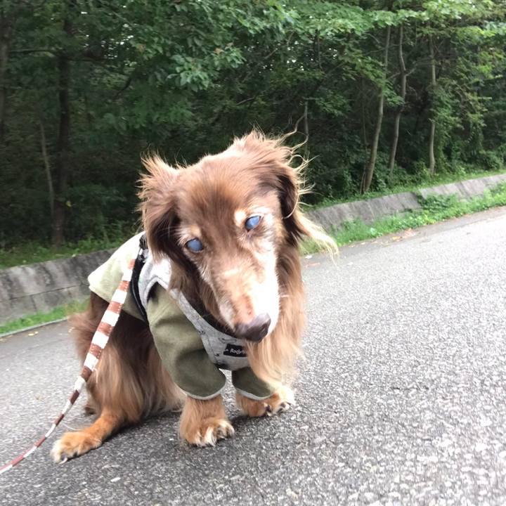 68f6e841 f3ca 4cb3 9d26 a3f367bb11c7 1600659035541