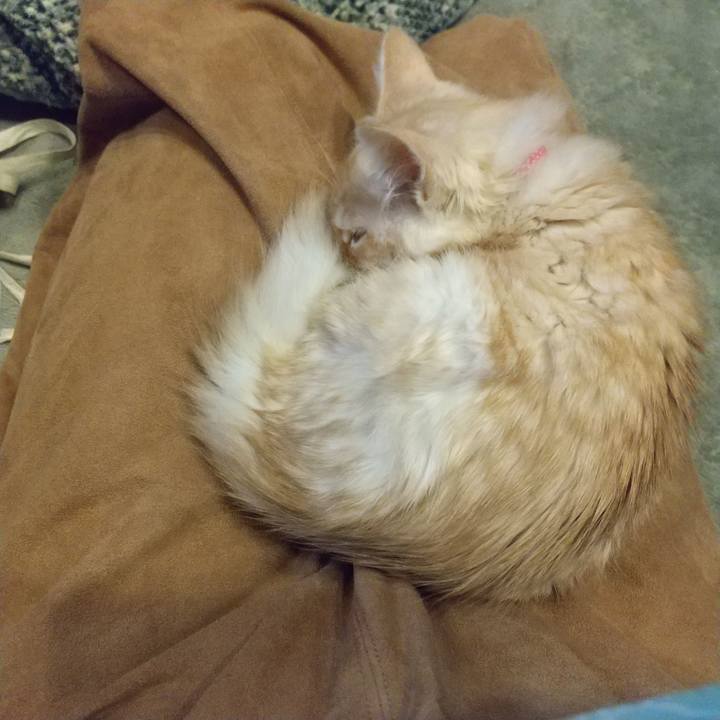 68f72fe2 c73e 4615 8bb8 4af42024f9e8 1606082277216