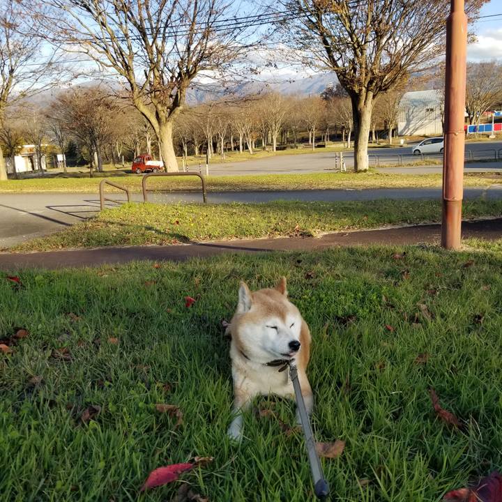 68f77e2e e284 4350 8546 25234506beec 1700029710042