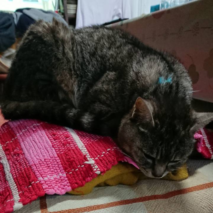 68f7aa35 9c4b 4c04 9805 359fa8e0b2aa 1552340638700