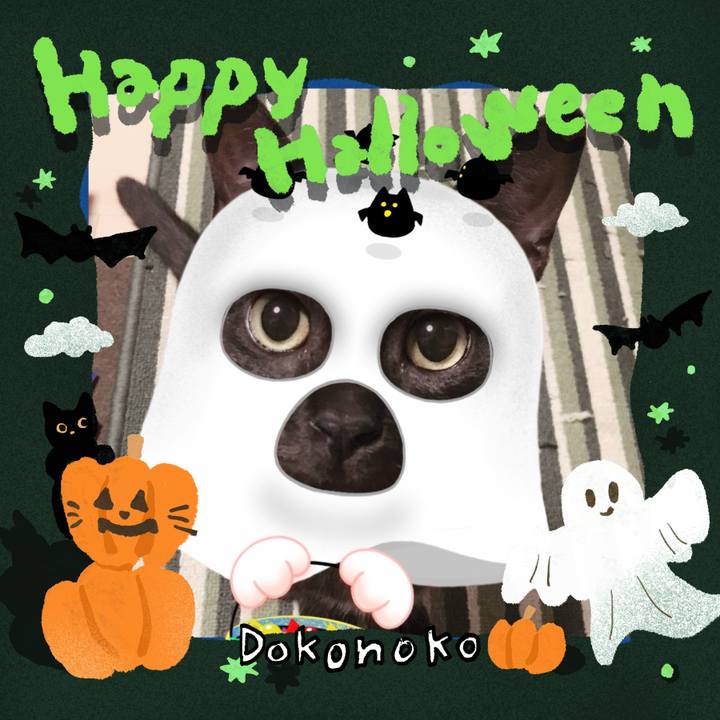 68f7f136 362d 4761 b88b ae6649b6827e 1730182038924