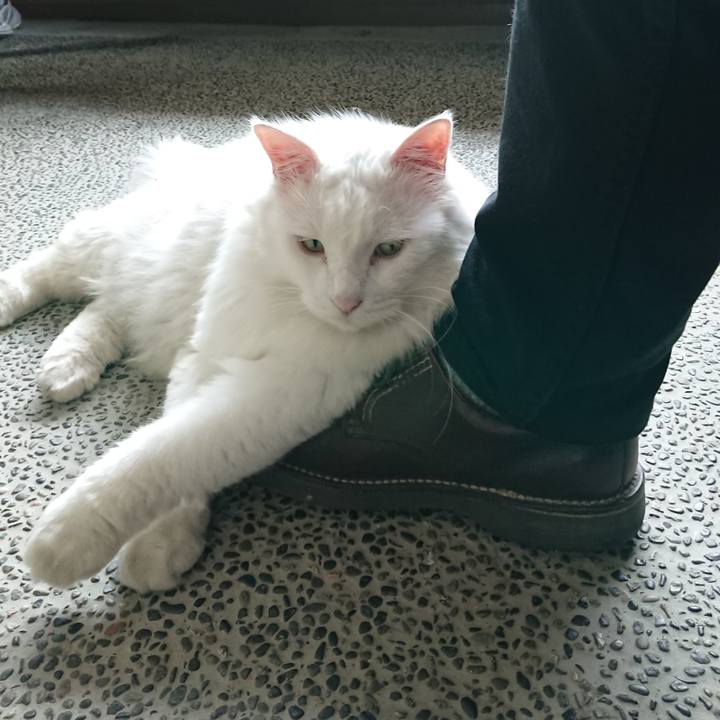 68f81046 18de 460d b4fe 30316d48b761 1536210510370