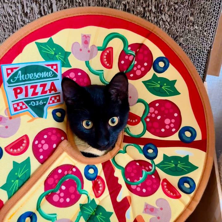 68f8146c 1400 4e0c b56c d83f102b5efc 1728194434390