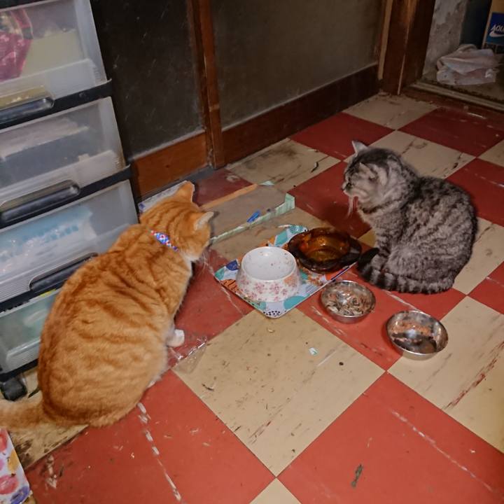 68f88878 8e89 4c07 ae81 58e78833c1c6 1576612114785