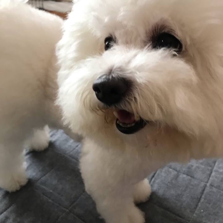 68f8bf74 cca9 4b4b a442 c50db146810d 1601353664409