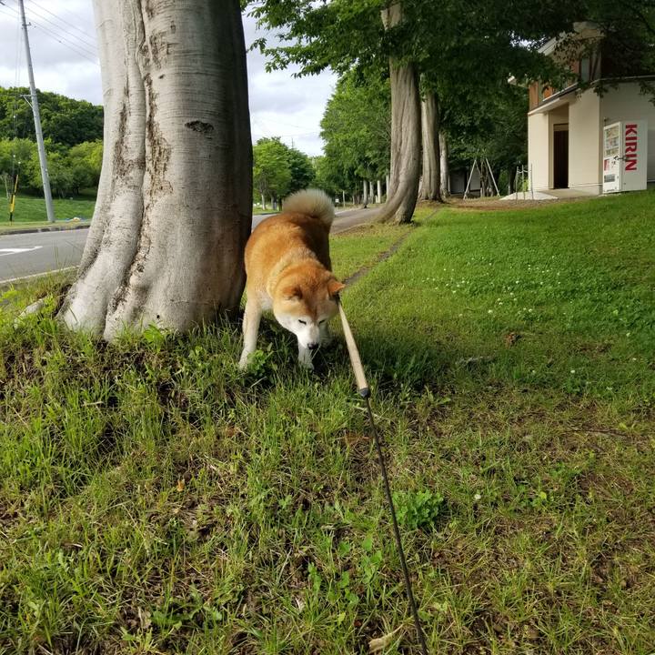 68f8d2d9 c0c9 4fd9 a06a 160e884b544d 1686645250365