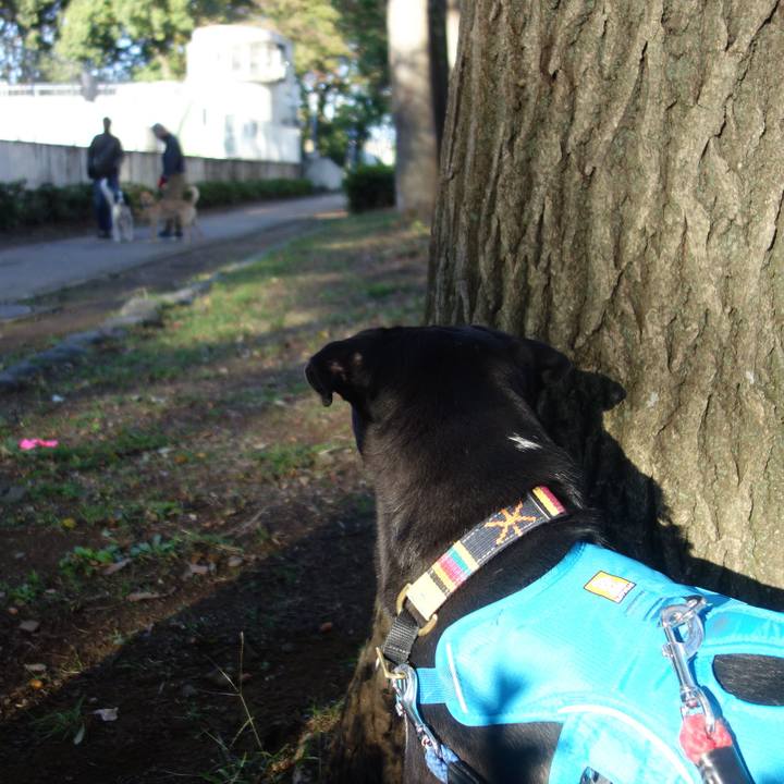 68f91f6e 08cb 4275 b3a1 40d5ade88540 1604105918017