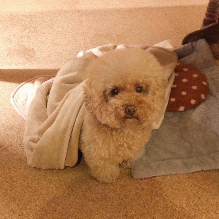 68f94be9 9e5a 492d 8a70 ec31ddf130d6 1509877751956