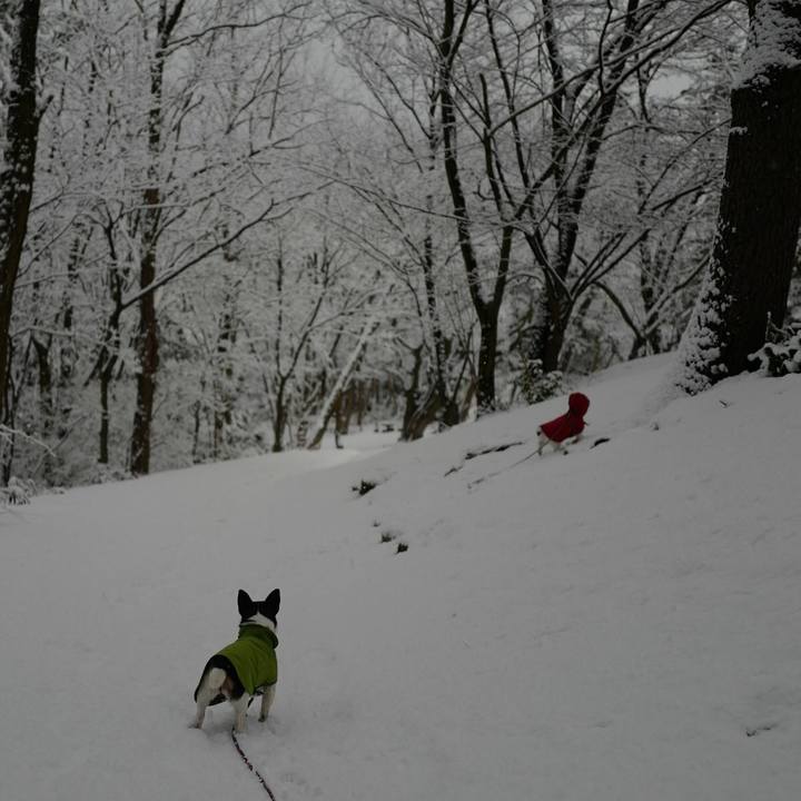 68f94f55 a6e1 492f 9306 423dbd569158 1517718782728