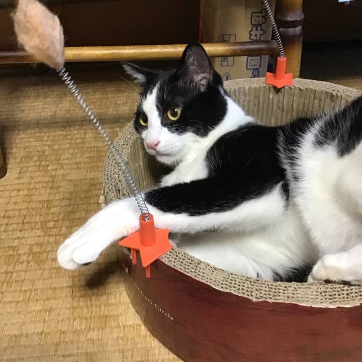 68fa1985 2b62 4706 a9ae 5baa586225dc 1690631442581