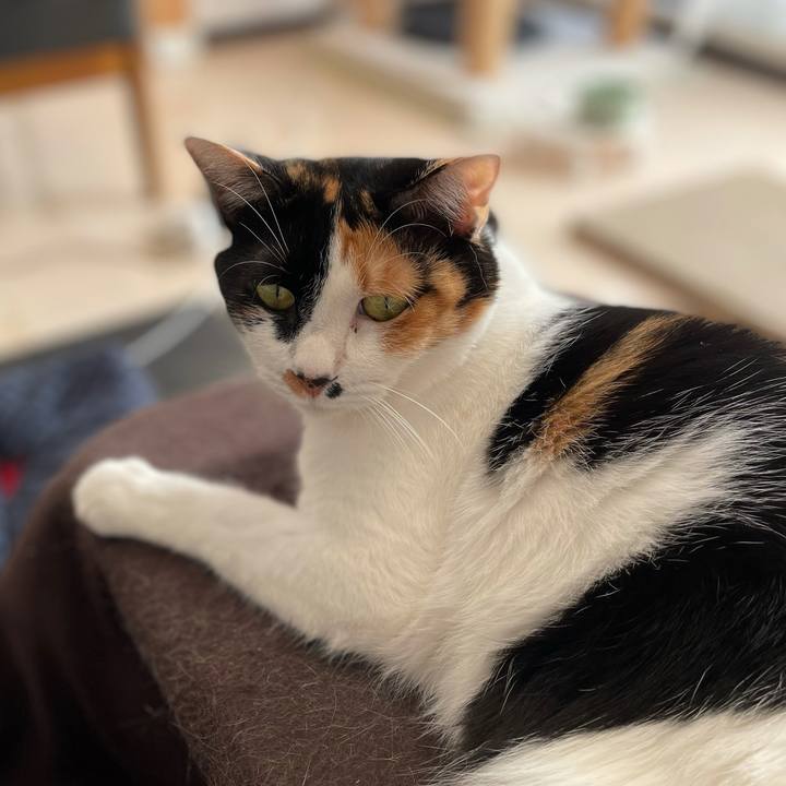 68fa3868 cdd9 4754 97dc ed4b7e624f36 1610531177444