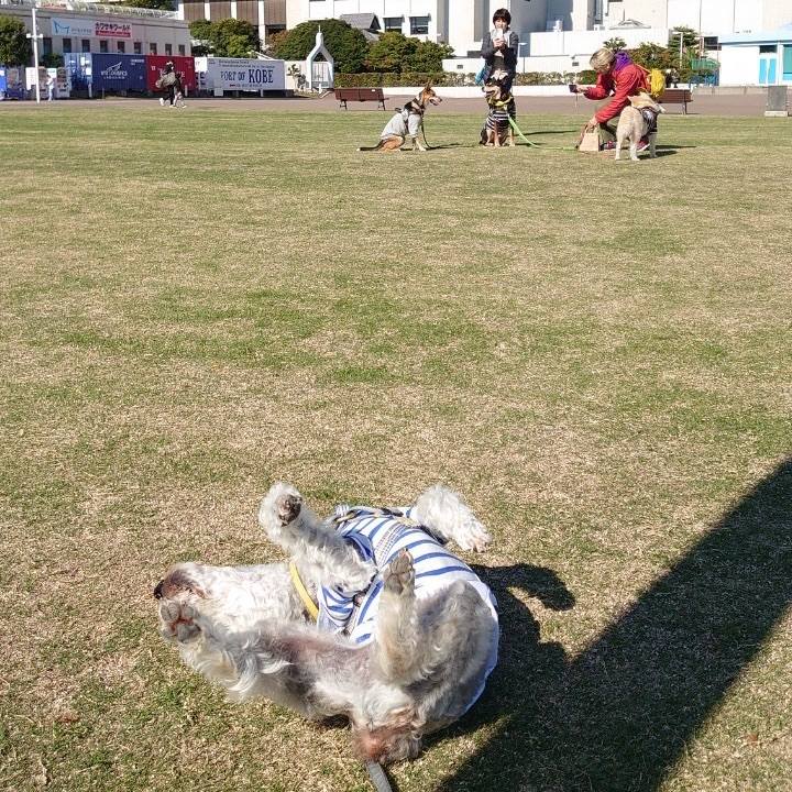 68fa3e80 0aff 405e a5a8 b68833a8ca5e 1700021448408