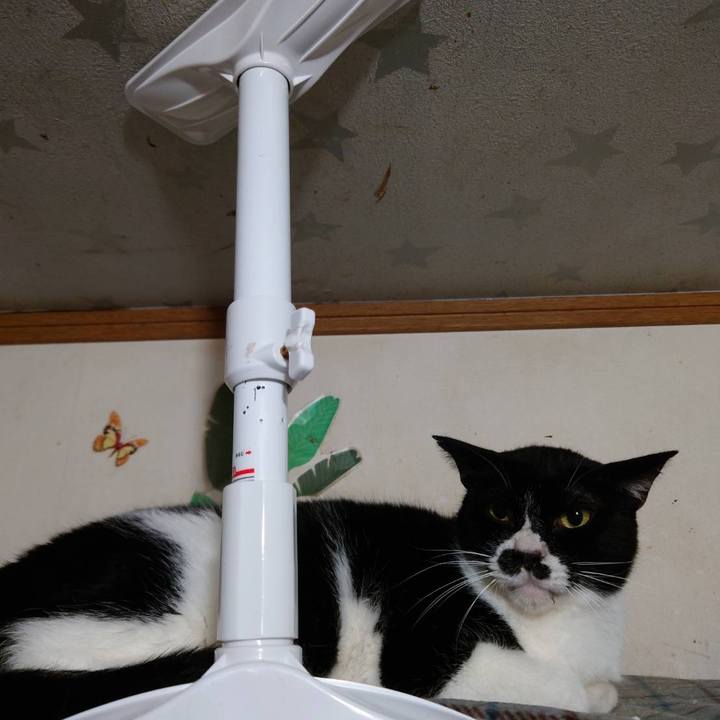 68fa47d2 a2ab 4d22 b099 126d74382e49 1650188491923