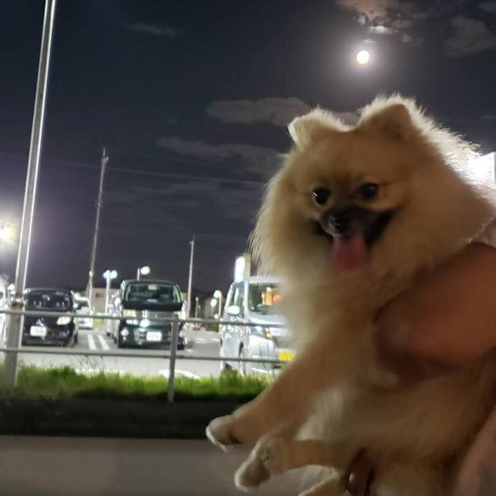 68fa9b78 0da9 4dea a11d a913eb9bf6af 1632312415609