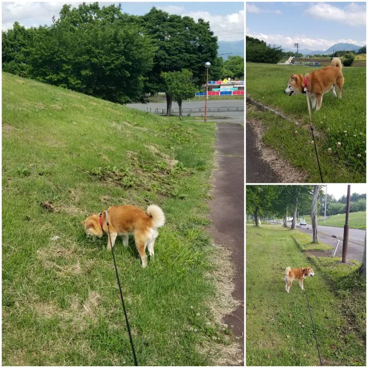 68fabdef 3879 44cf 8835 68dd17116420 1749025244027