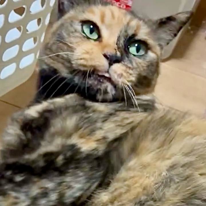 68fad2dc 535c 46a2 9ae9 5b1aededae5a 1753994944542