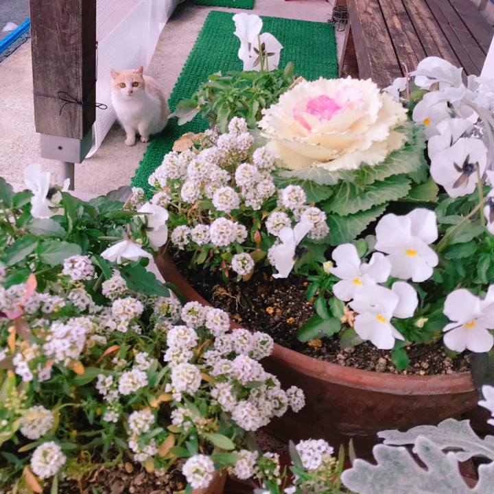 68fb52dd 964b 46b6 bb13 e7e10070f67b 1545374357225